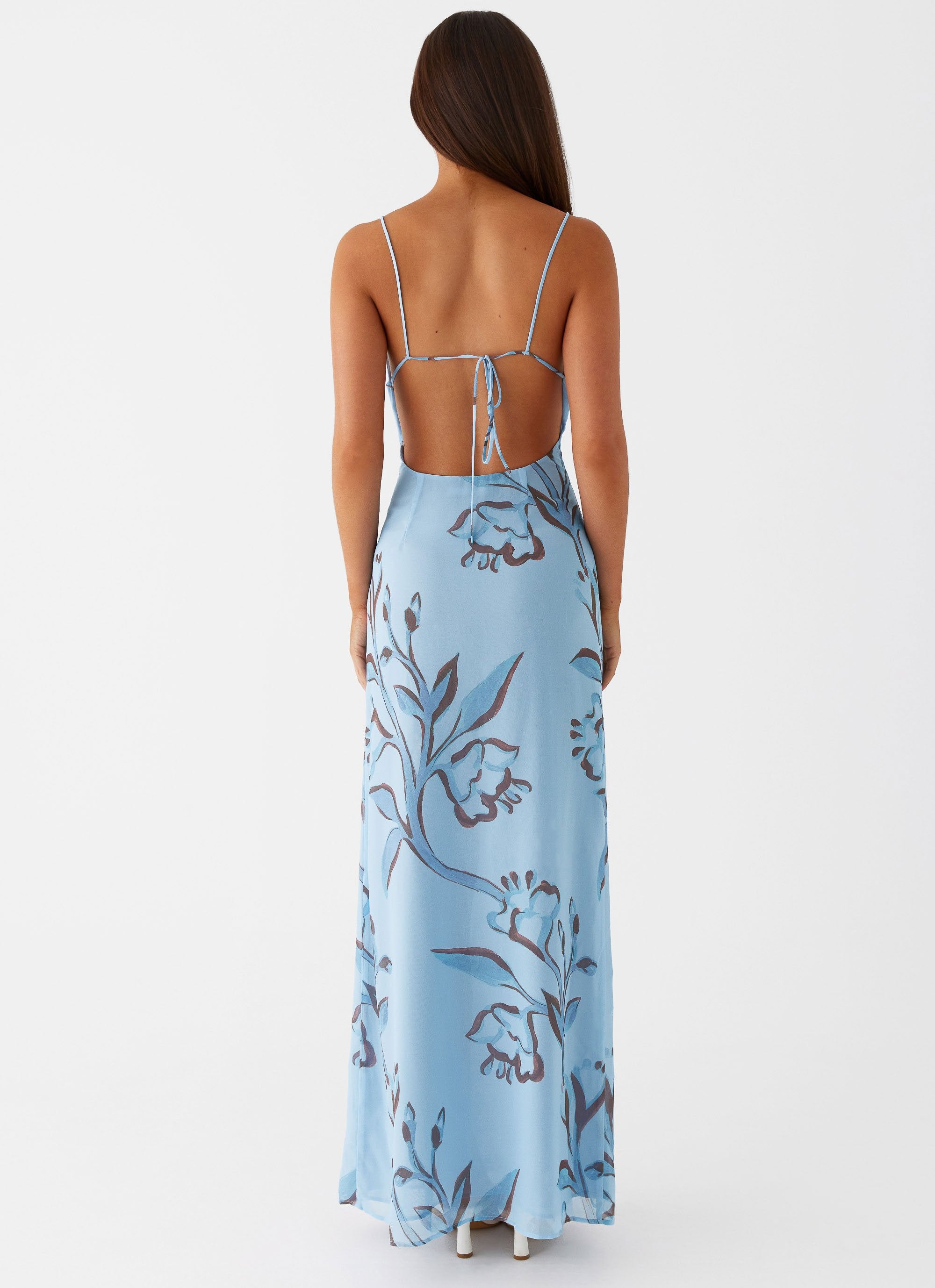 Felicia Daisy Maxi Dress - Blue Floral