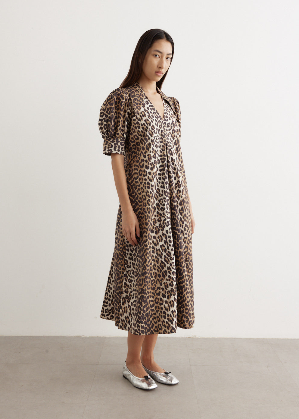 Printed Cotton Poplin V-Neck Long Dress