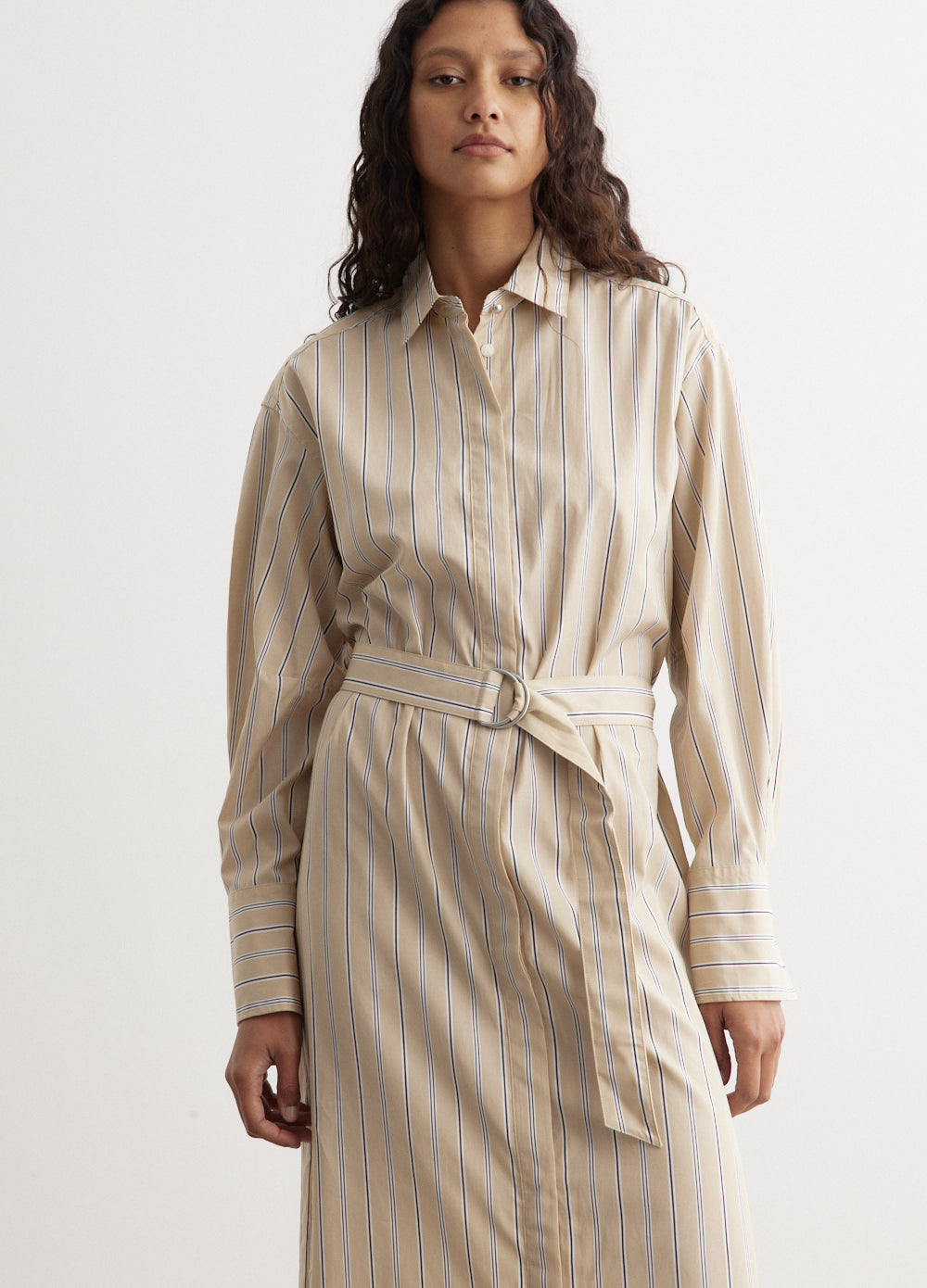 Briar Stripe Poplin Dress