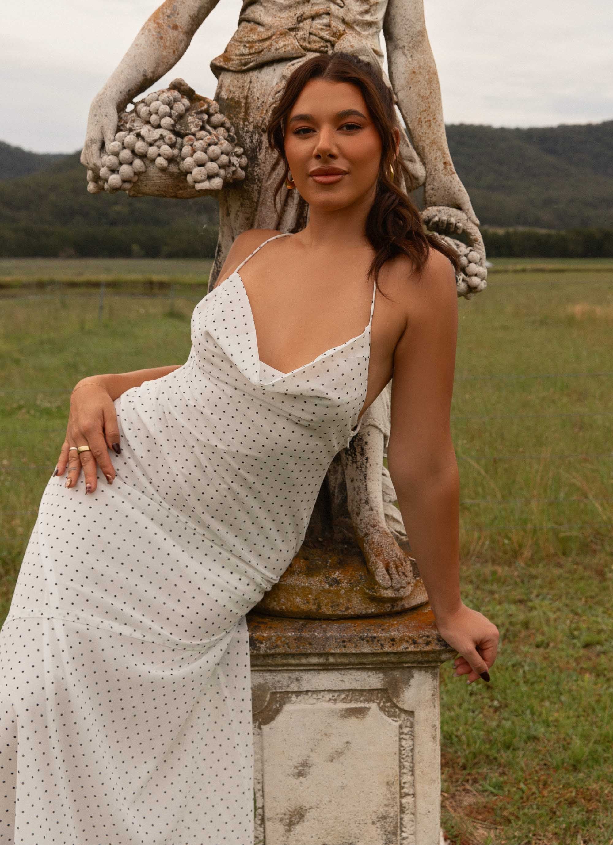 Alianna Cowl Neck Mesh Maxi Dress - White Polka Dot