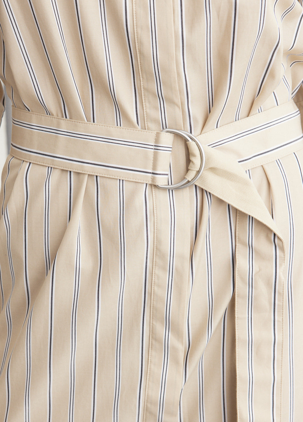 Briar Stripe Poplin Dress